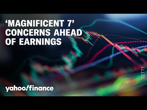 Is the Mag 7 overvalued?