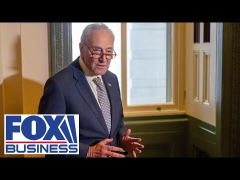 Chuck Schumer is ‘really seeing the writing on the wall’: GOP lawmaker