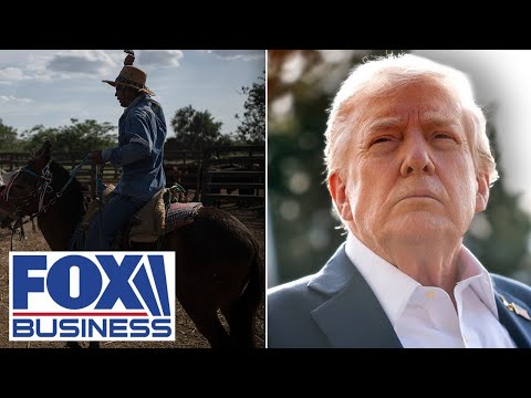 BEEF OVER BEEF PRICES?: Trump vows to support cattle ranchers