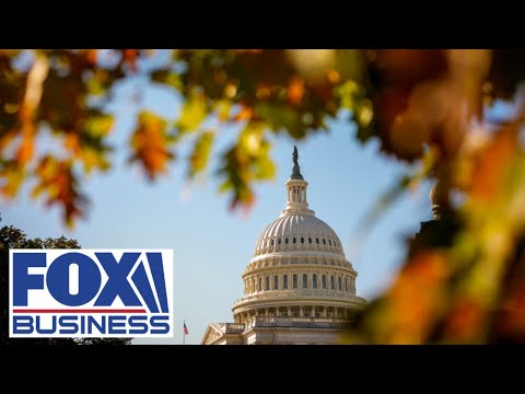 Democrats want to hurt Main Street, SBA administrator says