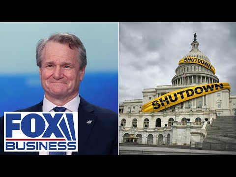 Big bank CEO EXPOSES real-world impact of government shutdown