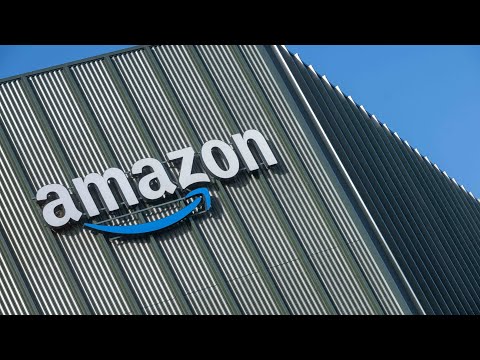 Why Amazon Stock Reminds Wedbush’s Devitt of Google