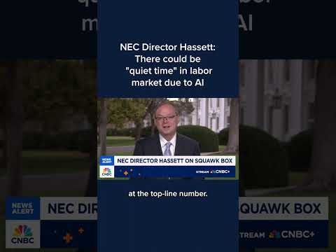 NEC Director Hassett: There could be ‘quiet time’ in labor market due to AI