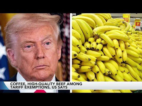 Trump’s Tariff Authority in Question