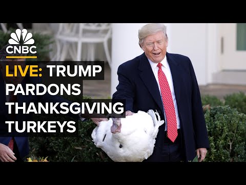LIVE: President Trump pardons Thanksgiving turkeys at annual White House ceremony — 11/25/2025
