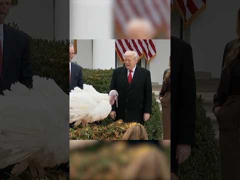 Trump pardons the Turkey’s – Gobble and Waddle 🦃