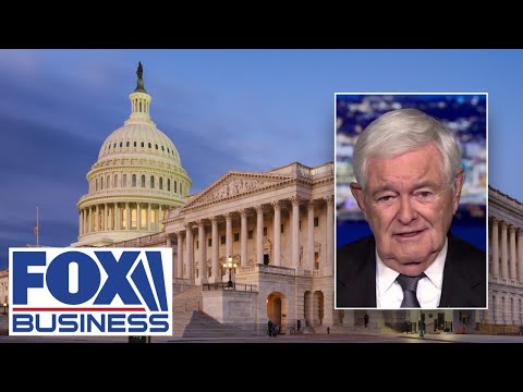 Gingrich: Every Republican better understand this