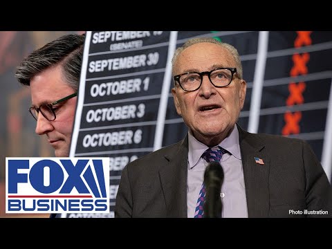 MOTIVE EXPOSED: GOP lawmaker reveals why Schumer is blocking a shutdown deal