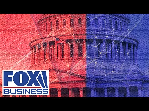 ‘DO NOT VOTE WRONG’: Tomi Lahren sounds alarm on blue-state flight to red states