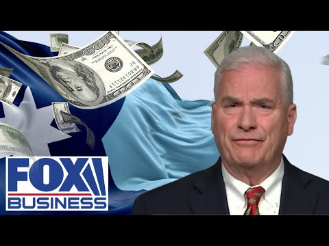 ‘WHO KNOWS WHERE THIS IS GOING TO END’: GOP rep unloads over extent of alleged Minnesota fraud