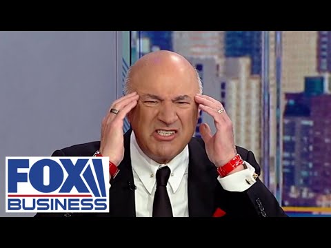 O’Leary: I’m ‘VEHEMENTLY AGAINST’ this ‘insane’ idea — here’s why