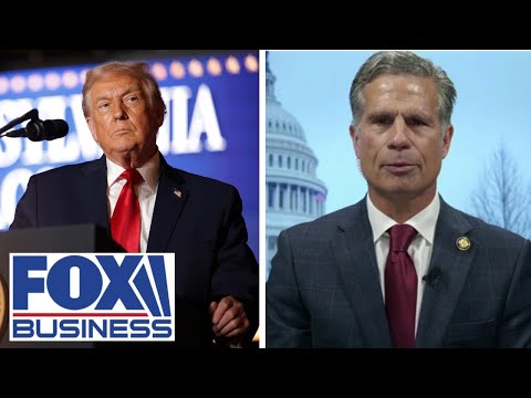 ‘HOAX’: Dems are trying to pin affordability crisis on Trump, GOP lawmaker says