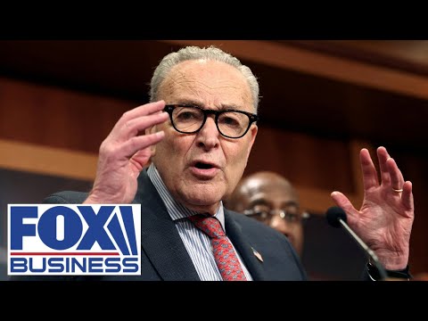 Liberal protesters have ‘NO MERCY’ for ICE agents’ families, GOP senator says