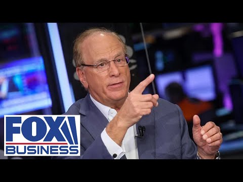 ‘WENT TOO FAR’: BlackRock’s Larry Fink makes MAJOR confession