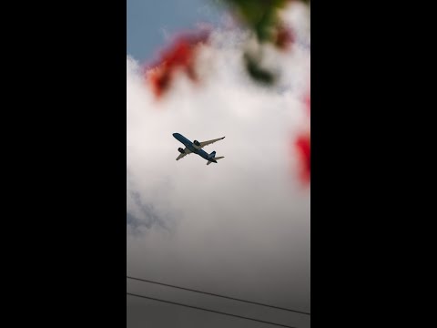 Palm Beach’s Rich Seethe as Trump Reroutes Flights