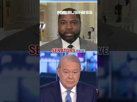 Donalds TORCHES Democrats: This is ‘VERY DISGUSTING’ #shorts