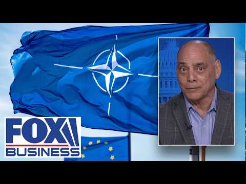 Everybody has the read on NATO ‘WRONG,’ army veteran argues