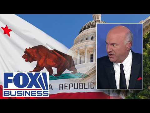 ‘STUPID MISTAKE’: O’Leary SCORCHES Cali’s fast-food wage hike