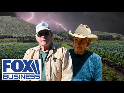 ‘REALLY SUFFERING’: Farmers describe deepening financial California strain
