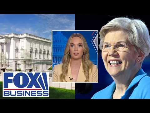 Elizabeth Warren didn’t ‘lift a finger’ on Minnesota fraud, commentator says