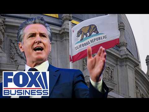 California programs ‘REEK OF CORRUPTION,’ Chris Rufo says