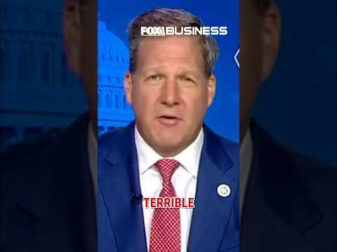 Airlines of America CEO rips lawmakers over DHS shutdown: ‘Screwed the system over’ #shorts