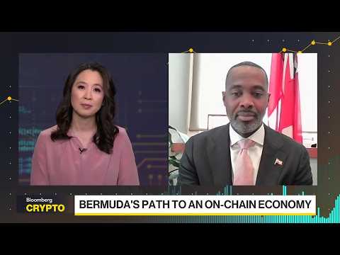 Bermuda Hopes to Become First National On-Chain Economy