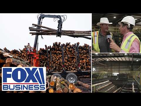 Georgia sawmill finds way to navigate rising lumber prices