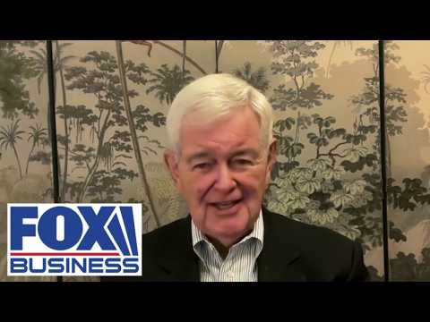 Newt Gingrich: Democrats are desperately counting on AMNESIA