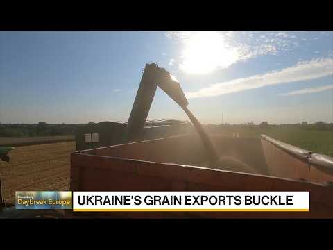 Ukraine’s Grain Shipments Are at a Virtual Halt