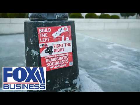These people have lost their MINDS: Rep Mike Haridopolos on DSA