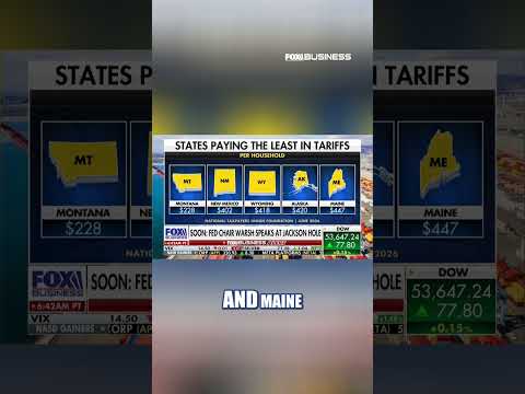 TARIFF TOLL: Report reveals states that pay most and least in tariffs #shorts