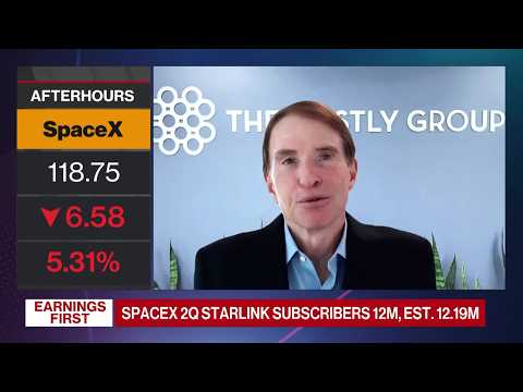 SpaceX Can Compete in AI, Former Tesla Board Member Says
