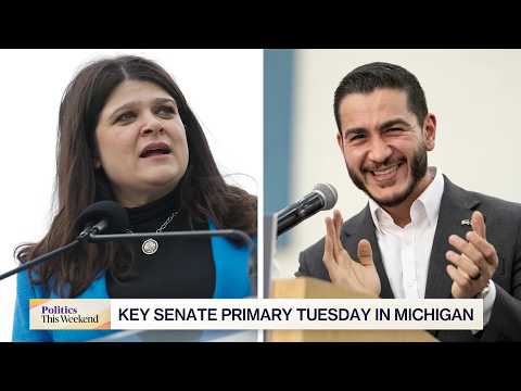 Democrats Divided By Michigan Senate Primary