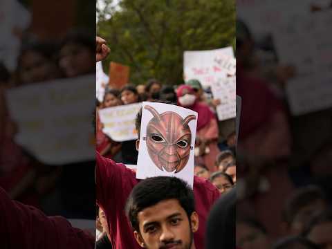 How India’s Cockroach Party Became a Political Force