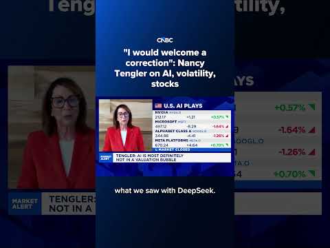 ‘I would welcome a correction’: Nancy Tengler on AI, volatility, stocks