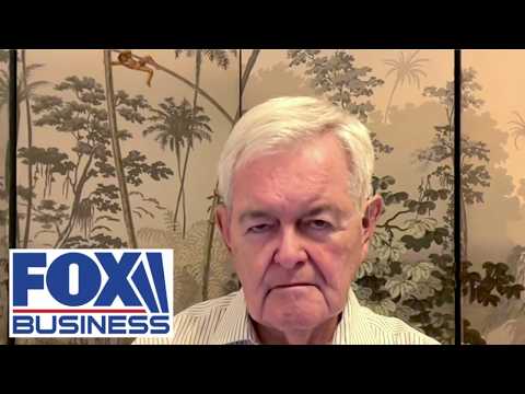 Newt Gingrich: In the end, you HAVE TO BREAK the regime