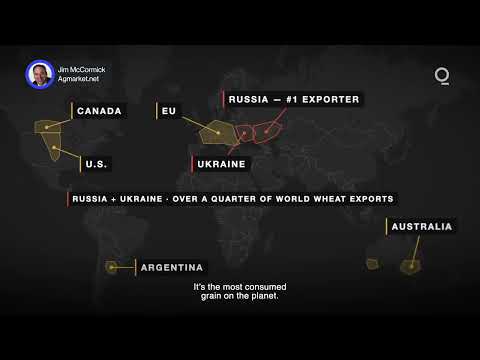 Black Sea Disruption Could Push Food Prices Higher | Presented by CME Group