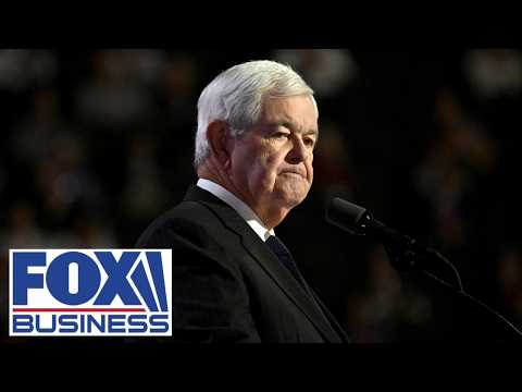 ‘VERY BIG CHOICE’: Newt Gingrich frames the stakes of the midterms