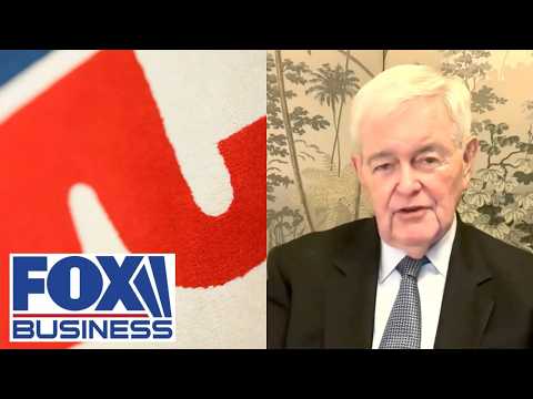 Newt Gingrich: Republicans need to slow the game down