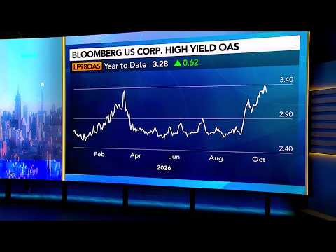 Investors Are Using Bonds to Hedge Against AI: Peters