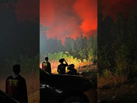 Toxic Haze Spreads Across Region as Indonesia Fires Rage