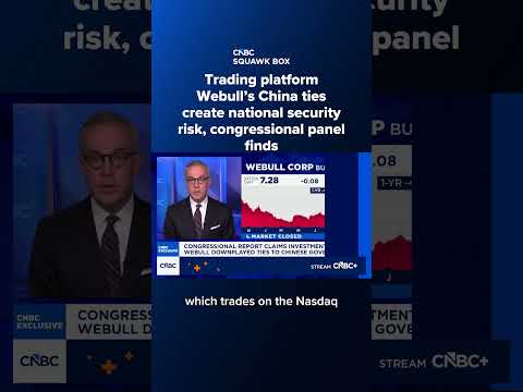 Trading platform Webull’s China ties create national security risk, congressional panel finds